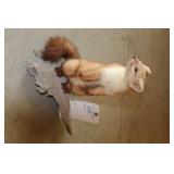 WEASEL, STANDING MOUNT ON WOOD, 16" TALL