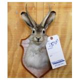 JACKALOPE MOUNT, 2 POINT