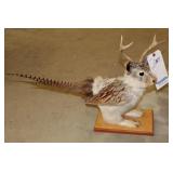 JACKALOPE MOUNT, 4 POINT, 26" LONG, FULL BODY