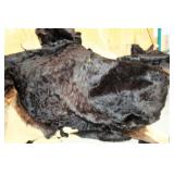 BEAR SKIN RUG, 77" X 99" AT WIDEST POINT