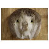 DEER REAR MOUNT, WITH EYES,