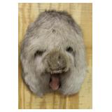 ELK REAR MOUNT, WITH EYES AND MOUTH,