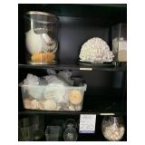 Book Case & Accessories