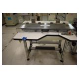 Inspection Conveyor