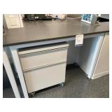 Lab Desk