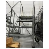 Rolling Ladder 4 Step