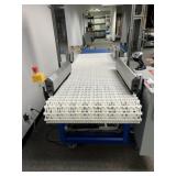 Custom 10-ft conveyor belts with integrated divert