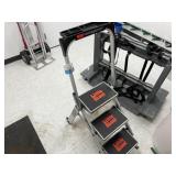 Little Giant Step Ladder