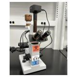 AmScope Microscope