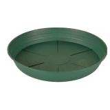 Green Saucers 10", bags of 25