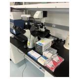 AmScope Microscope