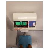 Electronic Scale