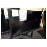 HP Computer Monitor with Stand