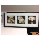 Framed floral prints - 2