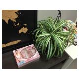 Halle Berry perfume set w/ silk plant