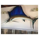 Large Sail Fish- Blue Marlin