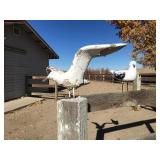 Yard Art Sea Gulls