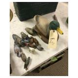 Assortment of Ducks