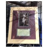 license for prostitution print