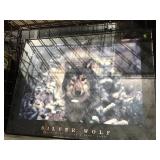 Silver Wolf framed picture