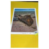 35 William A Moore - Near Hidden Cave  Prints