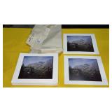 Well Over 200 William A. Moore Prints - Taking the