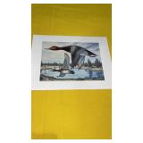 Approximately100 Prints William A. Moore Redhead