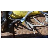 Set of Antlers