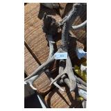 2 Sets of Antlers