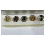 5 bug resine marbles