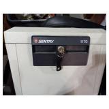 Sentry fireproof safe