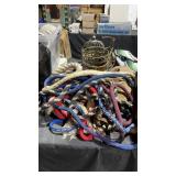 Horse Leads and Items