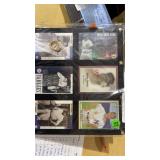 Framed With 6 New York Yankees Sports Cards