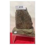 Rock w/ Scorpion Etched on Surface 8 1/2" Tall