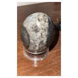 Orthoceras fossilized egg.  20-40 million years