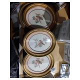 Set of 4 oval framed bird art