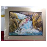 Matted Copy of Art - Rainbow Trout in Stream
