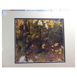 Matted Copy of Art - Deer in Forest