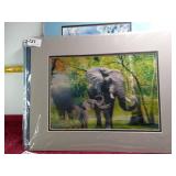 Matted Copy of Art - 3D Asian or African Elephants