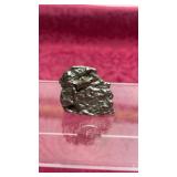 Meteorite - Space Rock