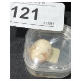 Cameo Shell Ready for Mounting