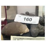 3 Pieces Fossil Rocks Chalcedony