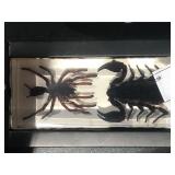 Black Scorpion & Tarantula Paperweight