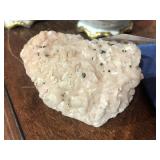 Pink "Brain Coral" Style Rock