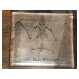 Bat Skelton  Paperweight