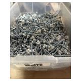 White drywall screws