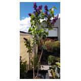 Approximately 3 and 1/2 ft tall