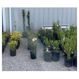 ADVERTISEMENT LOT ONLY!  DO NOT BID ON THIS LOT