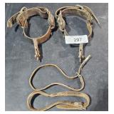 Set of Spurs, Need TLC