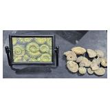 Sea fossils, and hologram picture frame